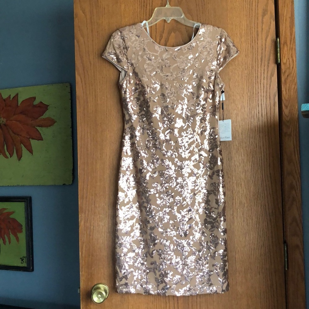 NWT BEAUTIFUL sequin champagne colored dress NEVER WORE!